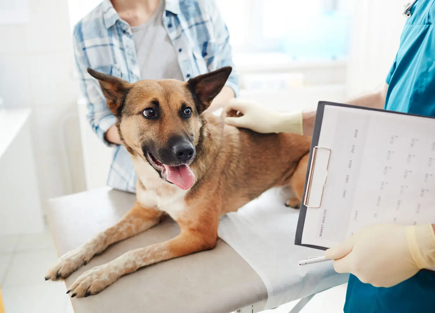 Pets and Pet Care